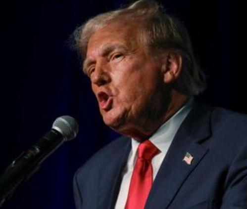 加州特朗普最新爆料,揭秘背后惊人真相！”  第1张